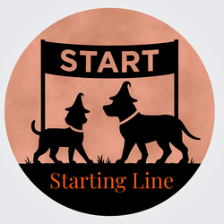 Starting Line Sponsor